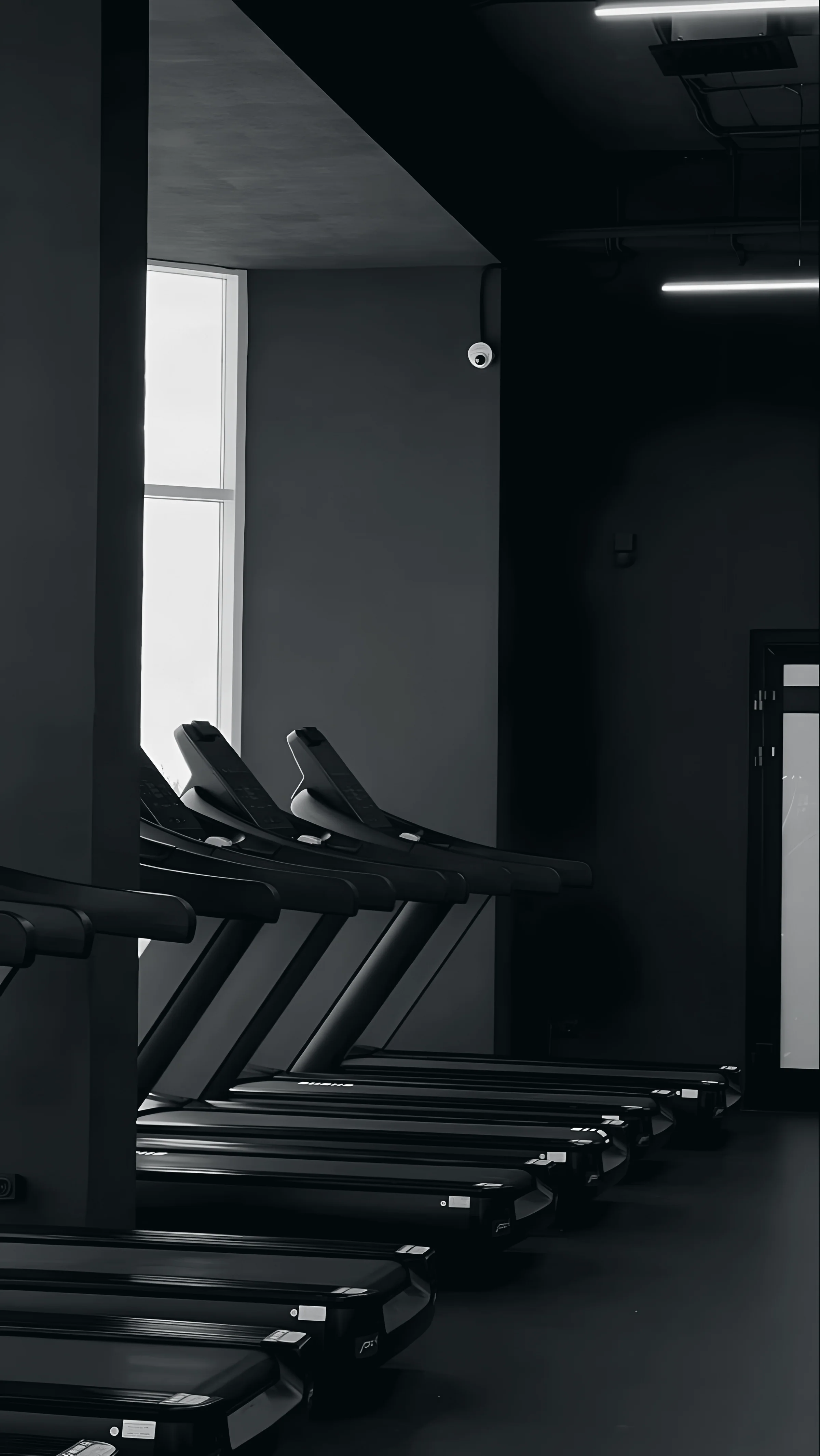 A row of treadmills in a dark gym, lit by a tall window